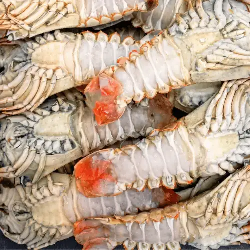 pictures - PT ELEVEN STARS SEAFOOD (1)